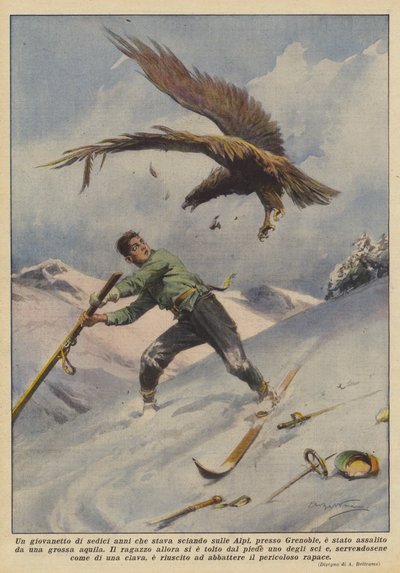 Ein sechzehnjähriger Junge, der in den Alpen bei Grenoble Ski fuhr, wurde von einem großen Adler angegriffen von Achille Beltrame